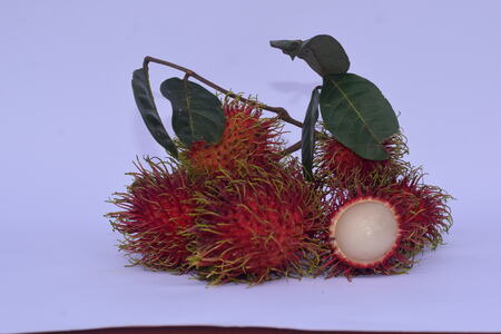 Rambutan trays